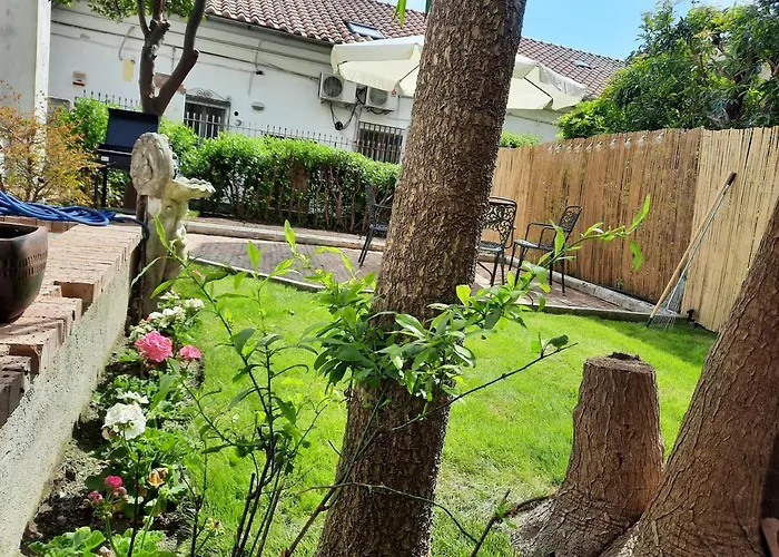 House Garden San Lorenzo Apartment *